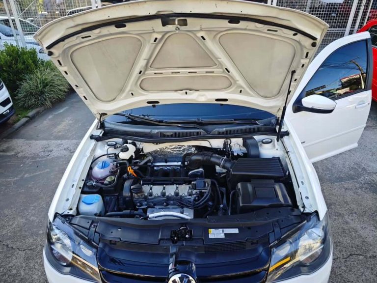 SaveClip.App_574230141_18536448523047242_1717493633297430710_n